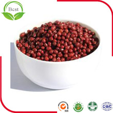 Organic Red Small Beans Red Adzuki Bean of China